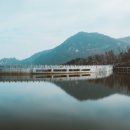 오늘쉐프 이미지