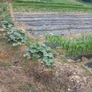 광개토부동산중개사무소 이미지