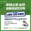 대도자동차정비 | 🌿[순천일기]순천만갈대축대와 습지 탐방 후기 (feat. 스카이큐브, 갈대열차, 맨발걷기길, 용산전망대...