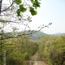 석곡마을회관 이미지