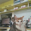 세븐메디컬 이미지