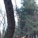 계남공원 이미지