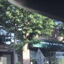 1984나폴리 꽃반지점 이미지