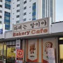 라떼는말이야 | [오남 빵집] 남양주 라떼는 말이야 가성비 베이커리 후기
