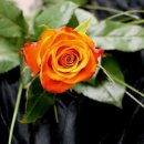 마음다짐 이미지