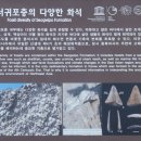 제주 서귀포층 패류화석 산지 이미지