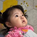 꿀벌유치원 | 칠곡, 꿀벌나라테마공원