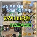 나비공원1(자연교육센터) | 부평 무료 체험 인천나비공원 자연교육센터 아이와 가볼만한 곳
