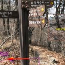 마우골약수터 이미지