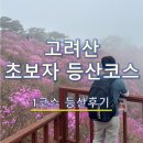 강화대로 | 고려산 등산코스 후기 | 백련사 코스 난이도 + 소요시간 + 정상 진달래 상황 🌸