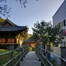 GR(해남군)-[달마로]-상-4 | [전남 해남 달마산 미황사 41] 소의 울음이 머문 곳!! 25. 10. 5(일)