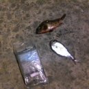 법환동-16 이미지