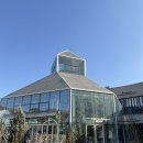 웁스(OOPS) 이미지