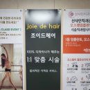 더조이드하우스
