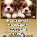 소중