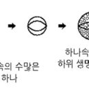 【제2장】 역의 시원 천부경 - 8.일묘연 만왕만래 용변 부동본 一妙衍 萬往萬來 用變 不動本 이미지