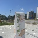 또행운 | 과천 지정타 신상빵집_‘행운식빵’ 내돈내산 방문후기🍀