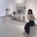 그린다이닝 이미지