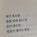 밥&술 네이버블로그