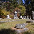 월정사 부도군 이미지