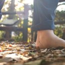 숲속의펜션 이미지