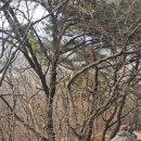 불곡사 앞 이미지