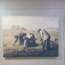 밸런스원정형외과의원 이미지