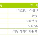 Botem(보탬) 이미지