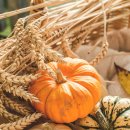 호박동물병원 이미지