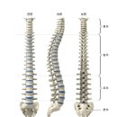 디클리셰 피트니스 이미지