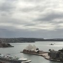 중앙시장여객선터미널 (중앙쇼핑앞) | 신혼여행 3일차 | 시드니 동부 관광 &amp; 시드니 쇼핑 코스 추천, 본다이 비치부터 QVB까지 알차게 다녀온...