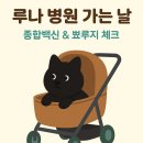 서울햇빛동물병원 이미지