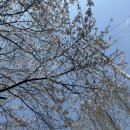 주흥3길 34 이미지