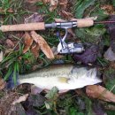 부엉덤이 이미지