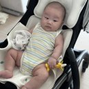 생후 D+96~102 일상 /100일의 기적!