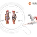 유앤동물의료센터 이미지