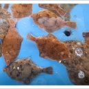 월성활아구 이미지