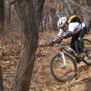 우면산3-19 이미지