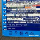 더 아르디 이미지