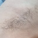 아나덴슈가링왁싱다산역점 - 8696 | 아나덴슈가링왁싱다산역점