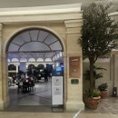 엑스포로 | 대전 유성구 도룡동 [니쿠텐 신세계대전점] :: 니쿠텐, 토시살 스테이크 덮밥 솔직 후기