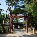 [山] 2020, 계룡산 II … 1. 동학사