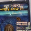 양구선사박물관 | 양구선사박물관