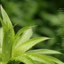 우정은 / <b>네이키드</b> <b>소울</b>