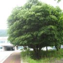 동송읍사무소 이미지