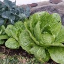 에스테이하우스 이미지