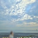 구룡밀면 이미지