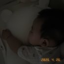 다온이와 단둘이 하루(part.124)