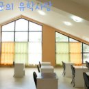 씨엔케이(CNK) Daum카페