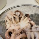 빨간쭈꾸미 이미지